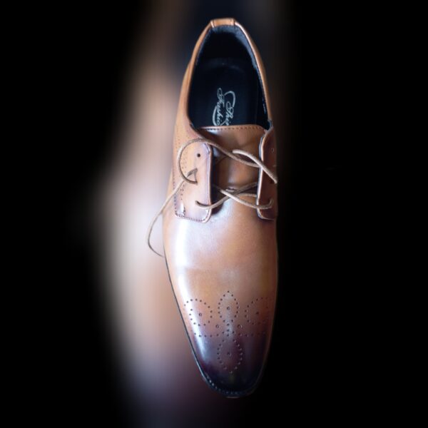 Pointer shoe