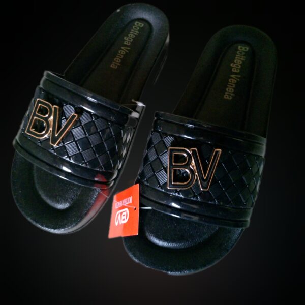 BV SLIDES
