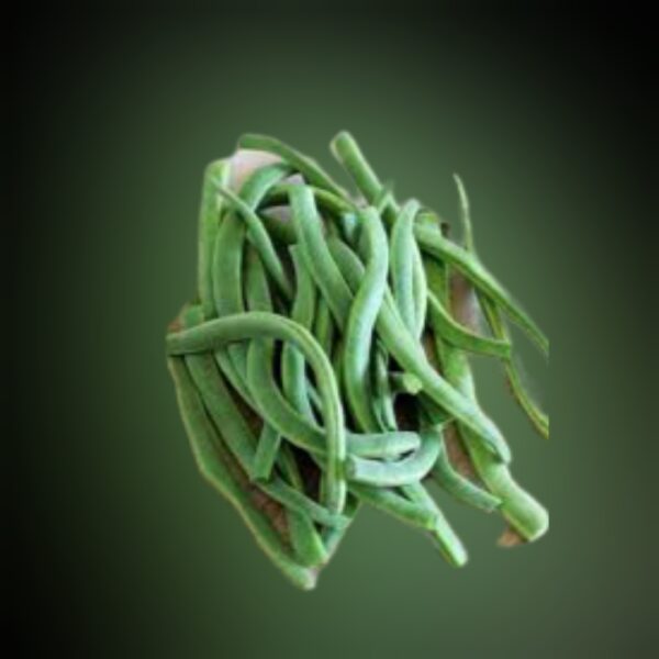 Fresh green beans/vegetables
