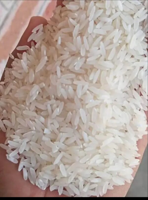 Rice
